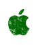 iTunes